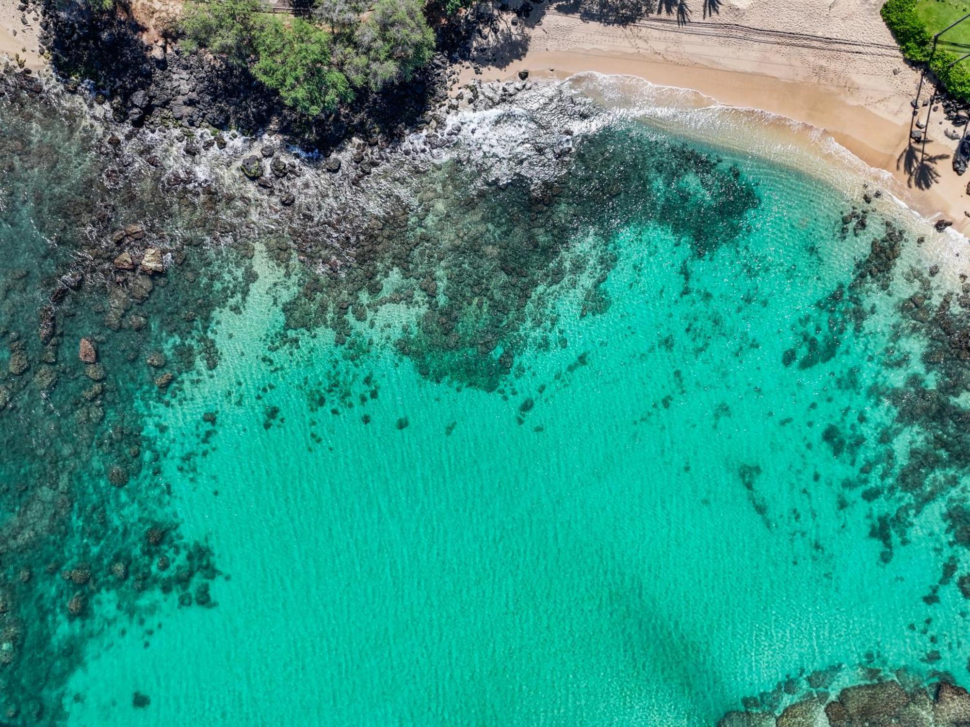 Napili-Honokowai Kahana Falls Resort מראה חיצוני תמונה