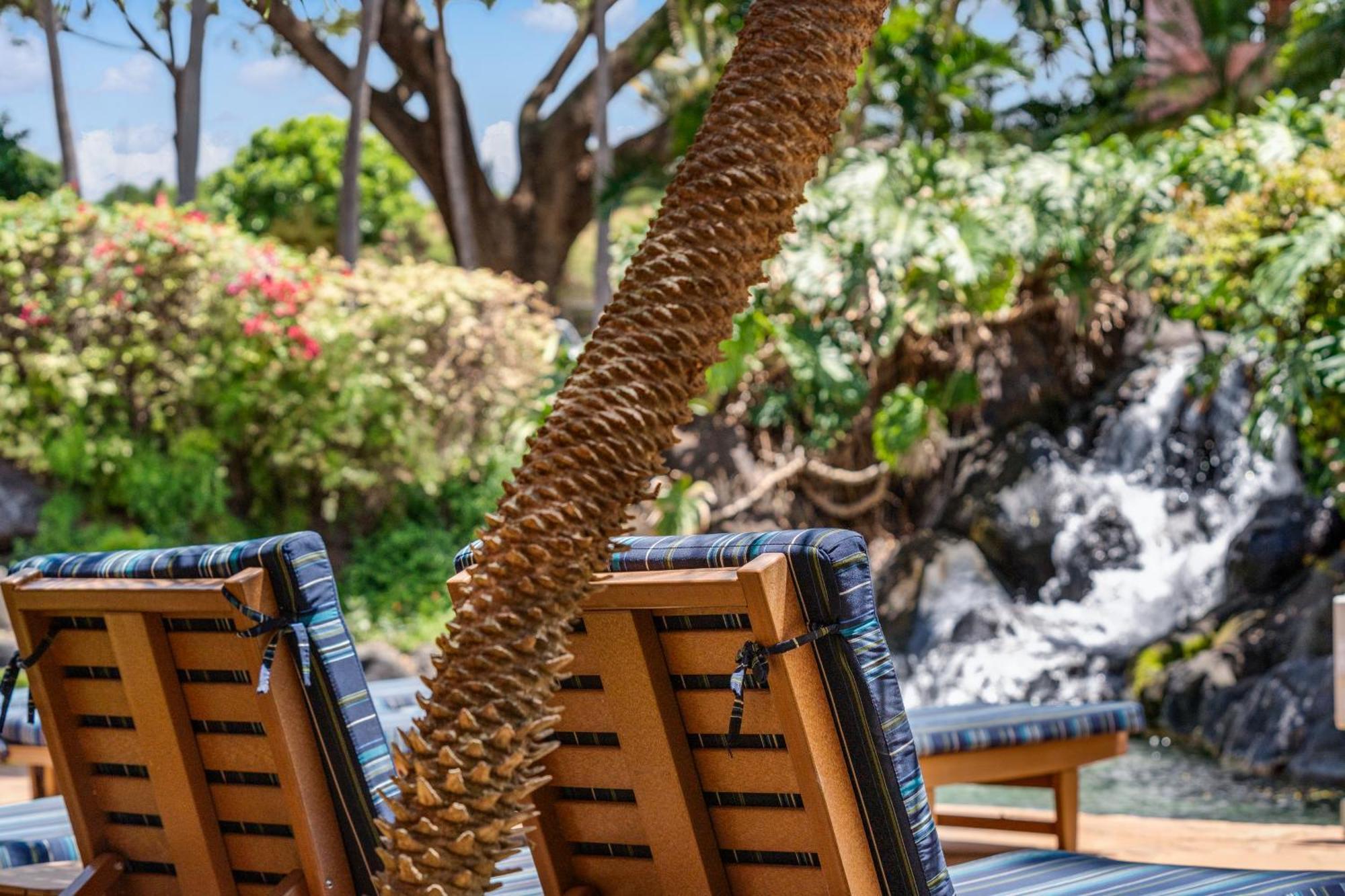 Napili-Honokowai Kahana Falls Resort מראה חיצוני תמונה